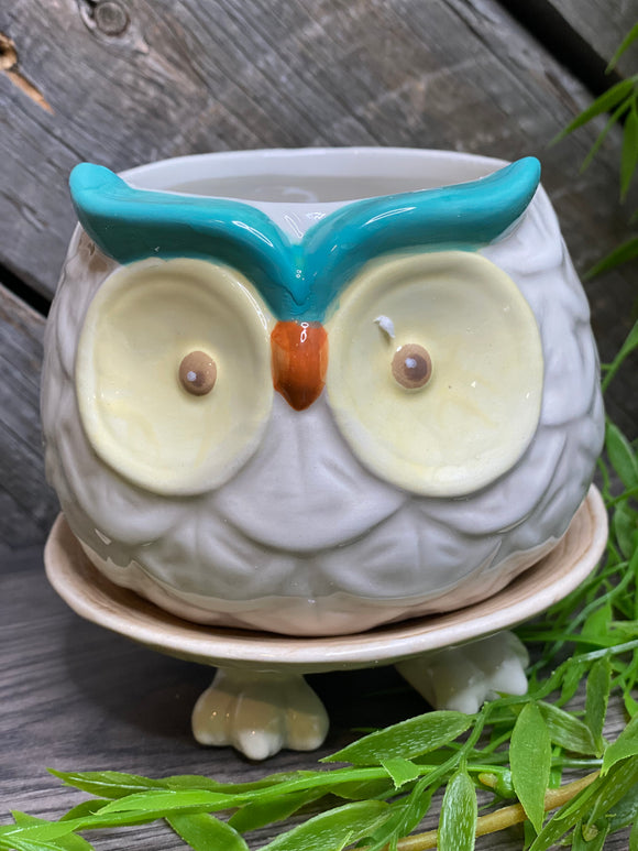 Giftware - Owl Planter with Water Dish