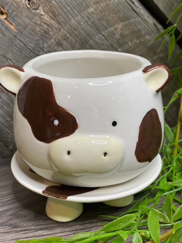 Giftware - Cow Planter with Water Dish