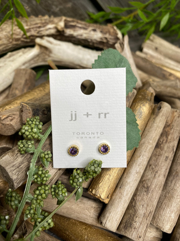 Jewelry - Fab Accessories - Purple Circle Earrings in Gold