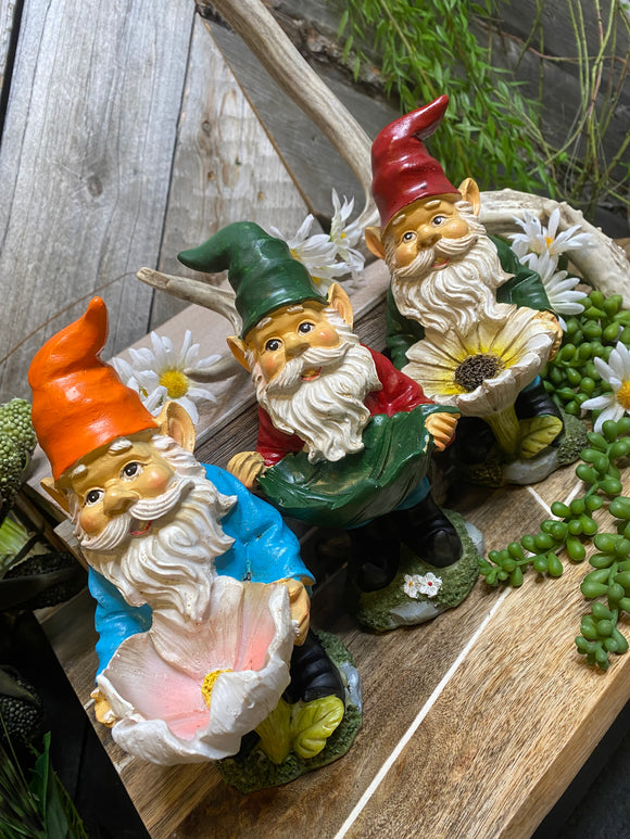 Giftware - Garden Gnomes