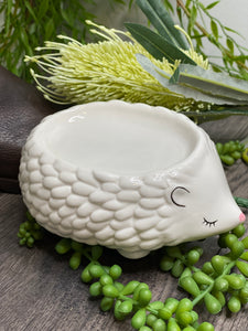 Giftware - Hedgehog Soap Dish