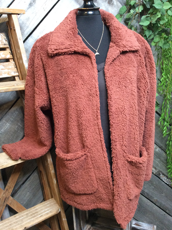 Blowout Sale - Z Supply Teddy Bear Coat in Rust